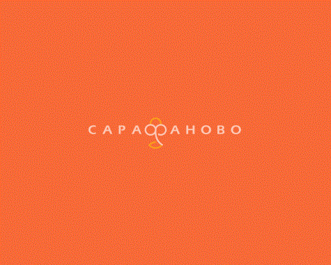 Ткань ТиСи 80/20 150 см 118 гр гл/кр рис оранжевый 30