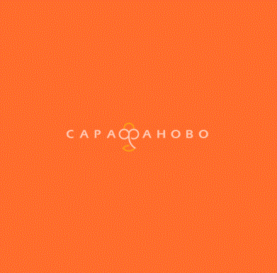 ТиСи 20/80 гл/кр оранжевый 361